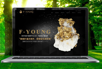 Ϋ���������ﱦʯ