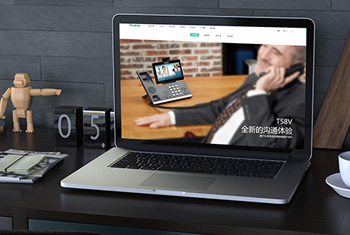 Ϋ������